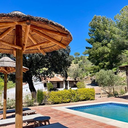 Finca El Sueno Andaluz Villanueva de la Concepción Dış mekan fotoğraf