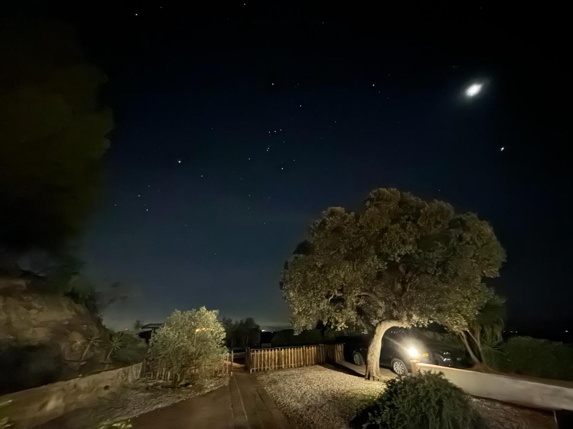 Finca El Sueno Andaluz Villanueva de la Concepción Dış mekan fotoğraf