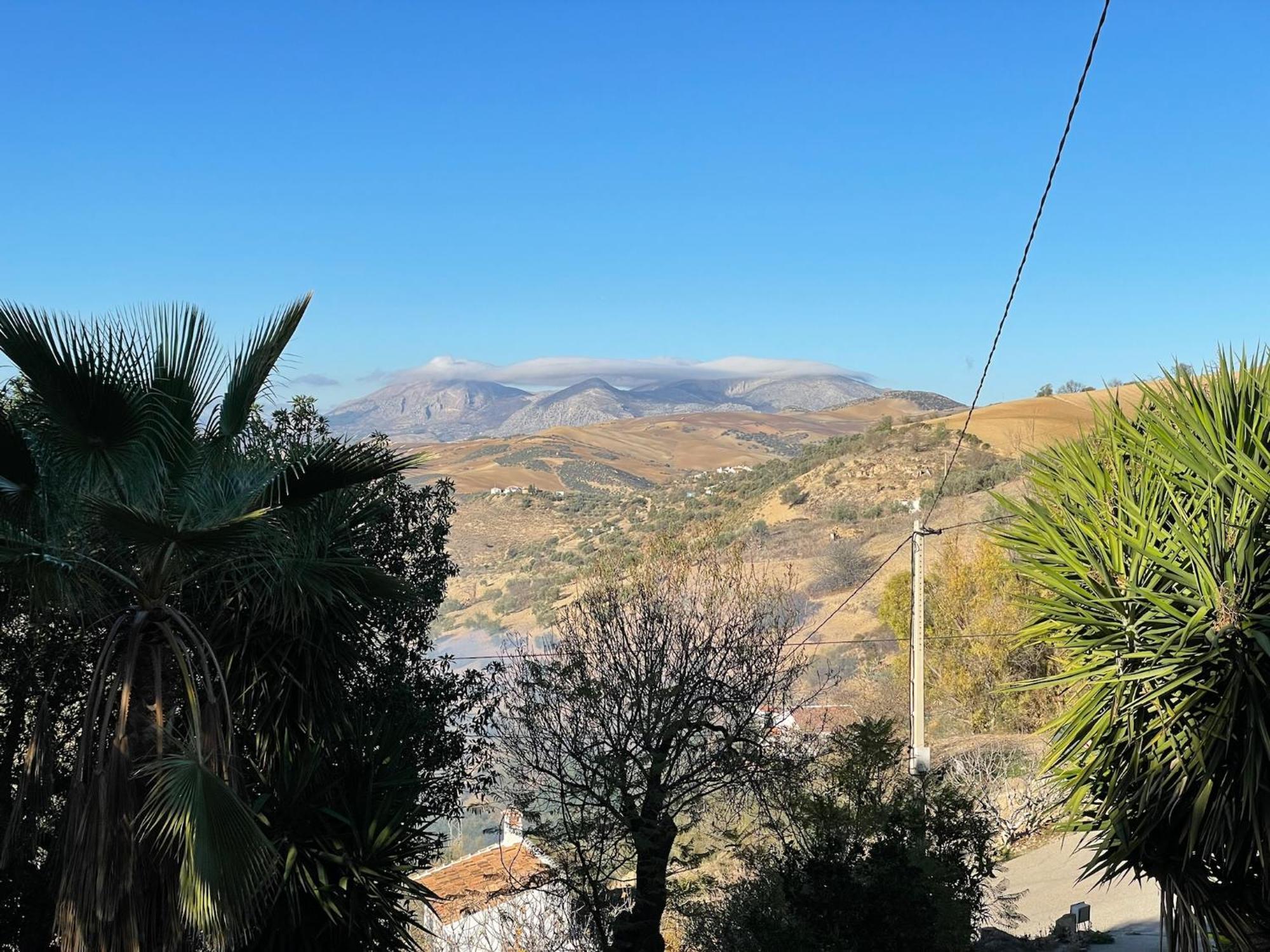 Finca El Sueno Andaluz Villanueva de la Concepción Dış mekan fotoğraf