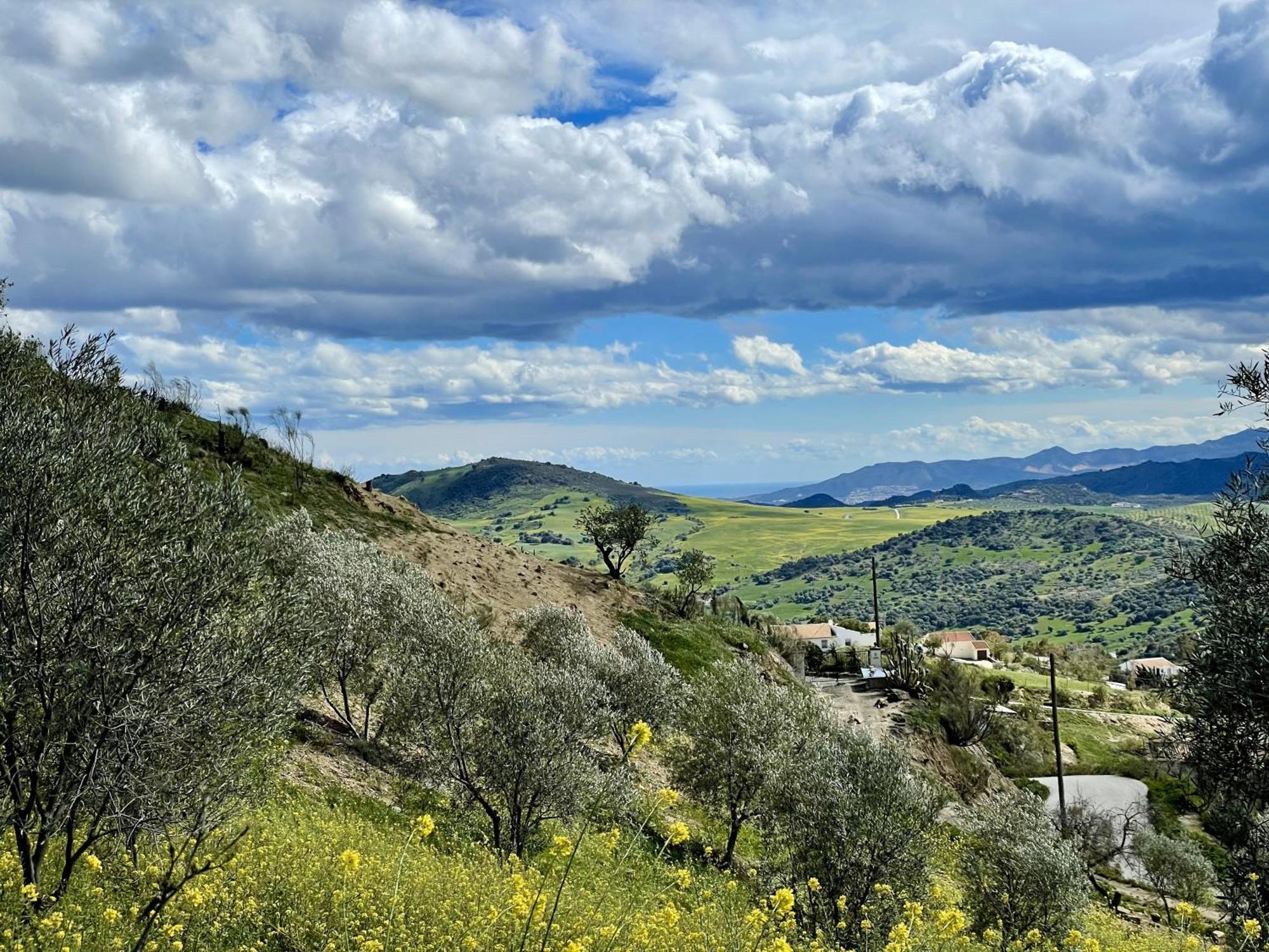 Finca El Sueno Andaluz Villanueva de la Concepción Dış mekan fotoğraf