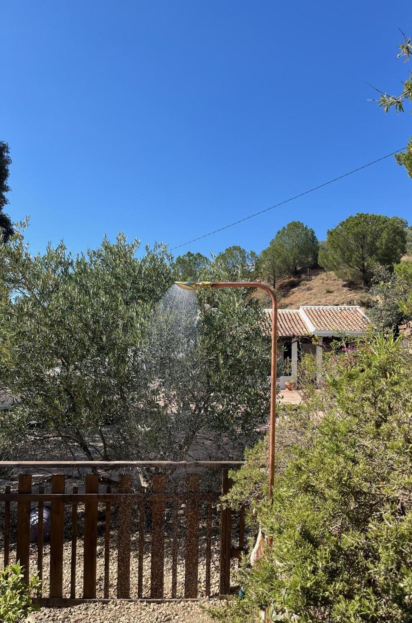 Finca El Sueno Andaluz Villanueva de la Concepción Dış mekan fotoğraf
