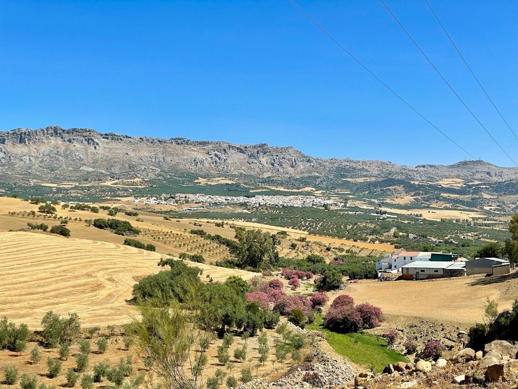 Finca El Sueno Andaluz Villanueva de la Concepción Dış mekan fotoğraf