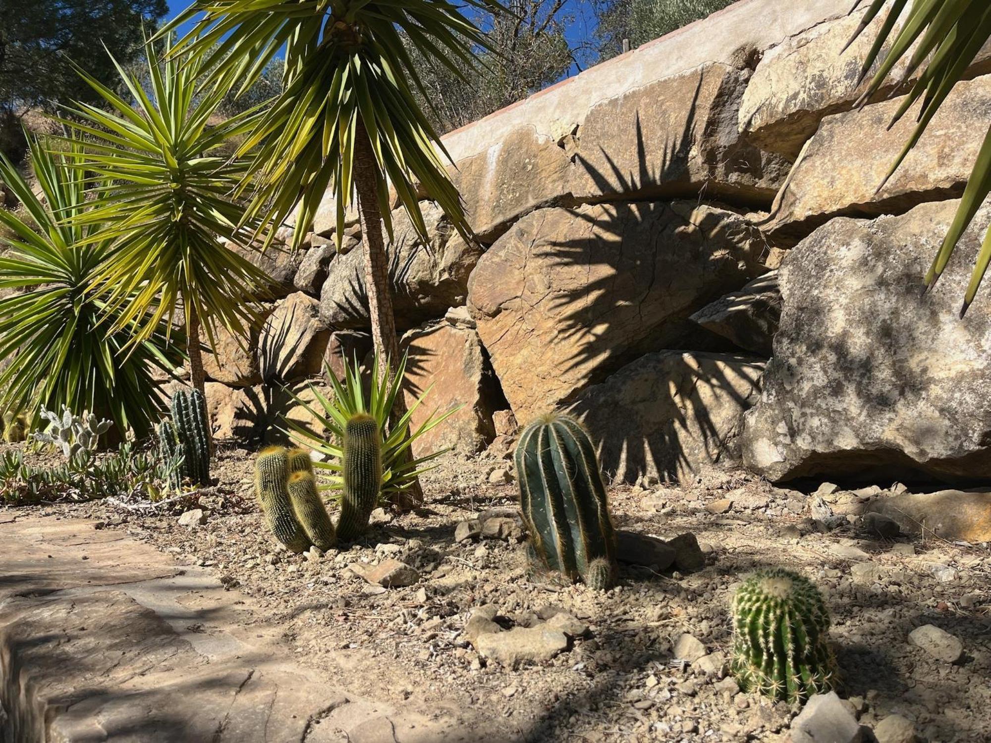 Finca El Sueno Andaluz Villanueva de la Concepción Dış mekan fotoğraf