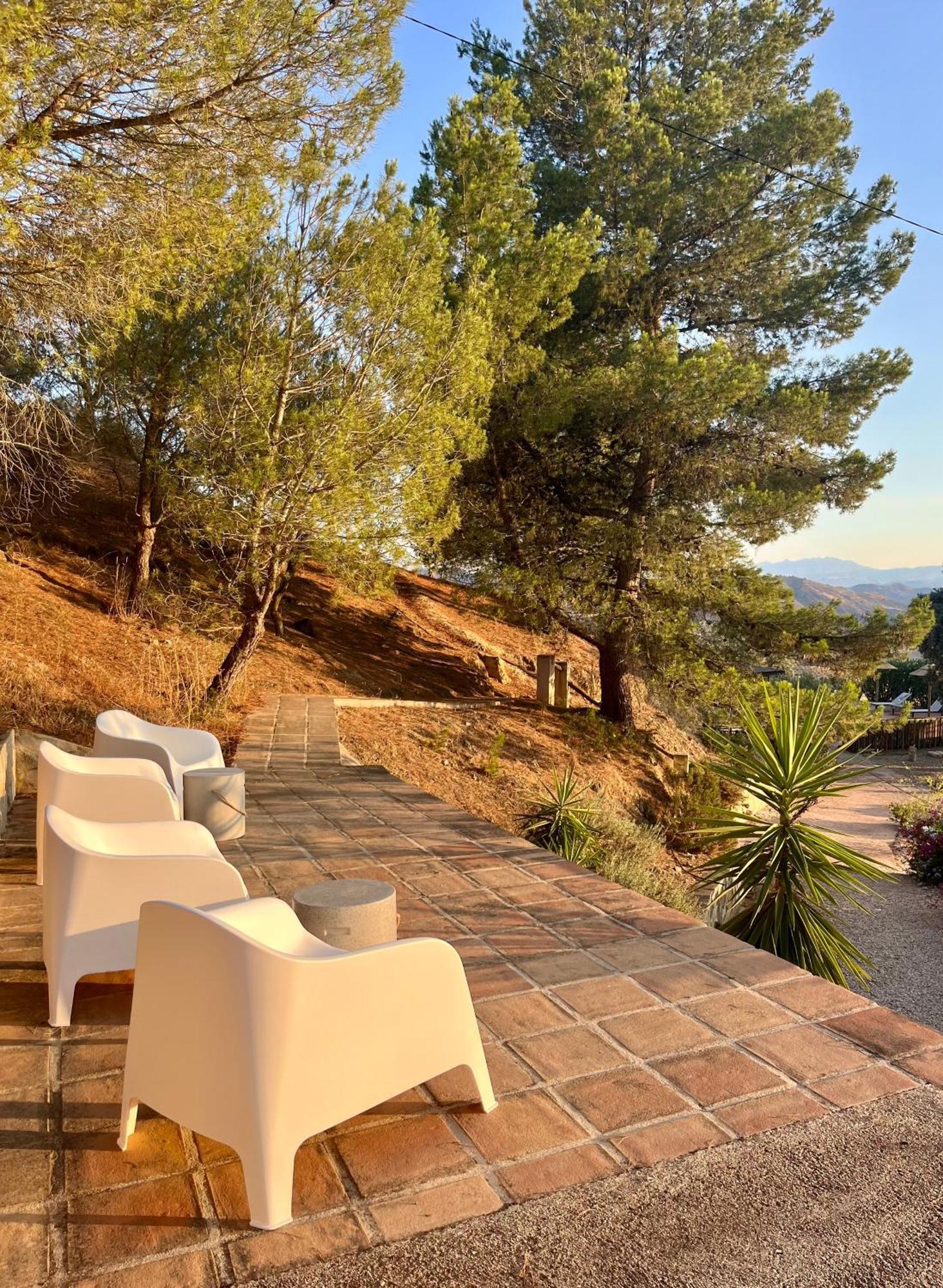 Finca El Sueno Andaluz Villanueva de la Concepción Dış mekan fotoğraf