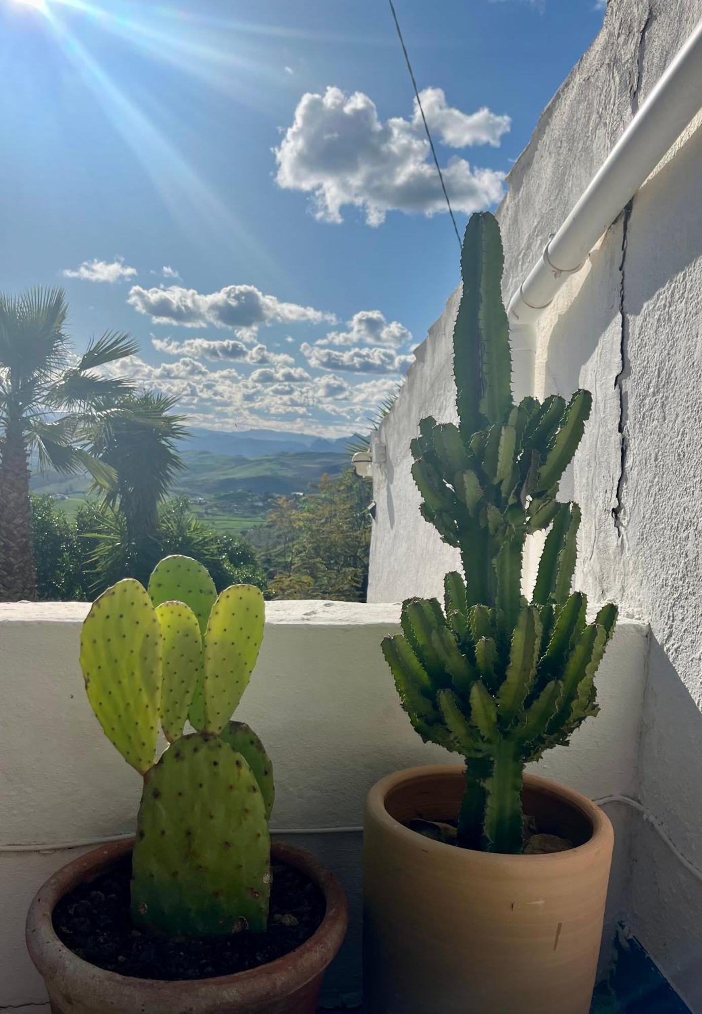 Finca El Sueno Andaluz Villanueva de la Concepción Dış mekan fotoğraf