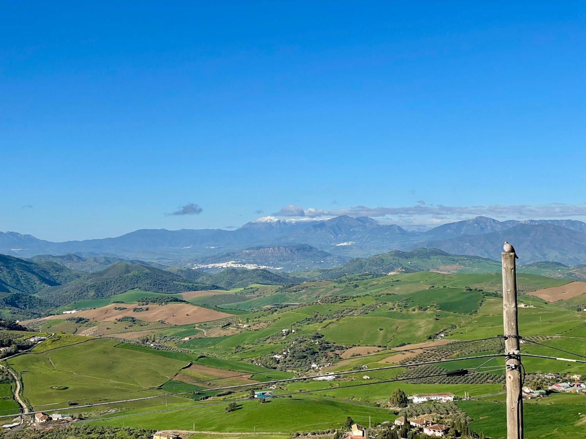 Finca El Sueno Andaluz Villanueva de la Concepción Dış mekan fotoğraf